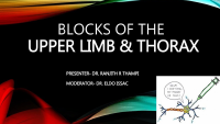 Block for upper limb & thorax.pptx